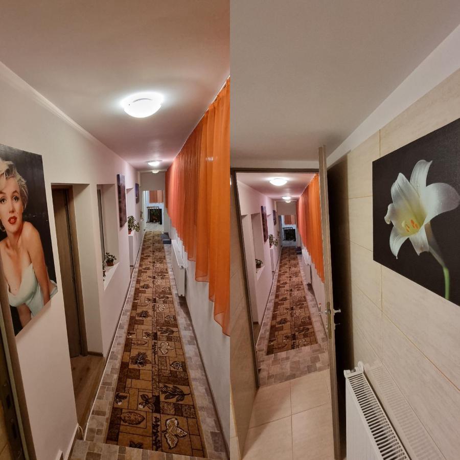 Villa Roca House Braşov Esterno foto