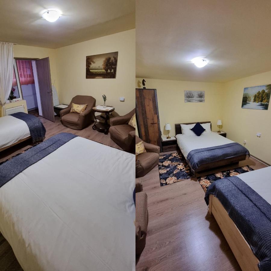 Villa Roca House Braşov Esterno foto